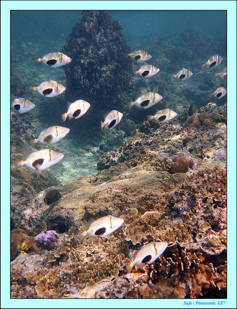 2012 - 07 - Gili - 64